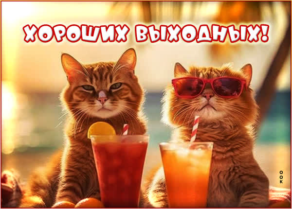 Чудесная картинка хороших выходных