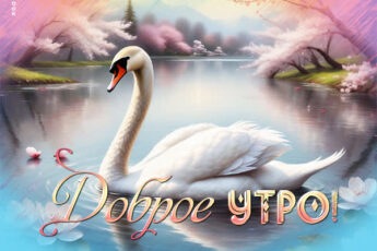 Чудная открытка доброе утро