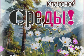 Гармоничная открытка желаю тебе классной среды