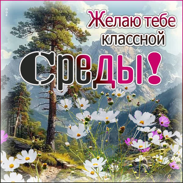 Гармоничная открытка желаю тебе классной среды