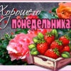 Гламурная картинка хорошего понедельника