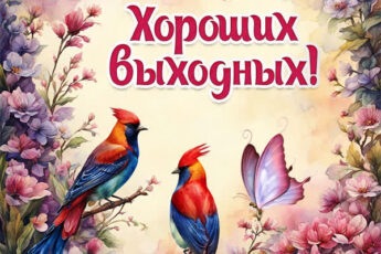 Интересная открытка хороших выходных