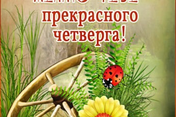 Изысканная картинка желаю тебе прекрасного четверга