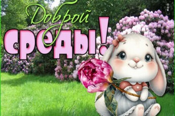 Симпатичная картинка доброй среды