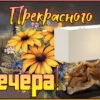 Творческая картинка прекрасного вечера