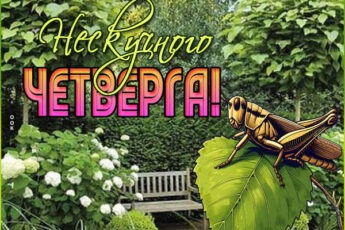 Утонченная открытка нескучного четверга