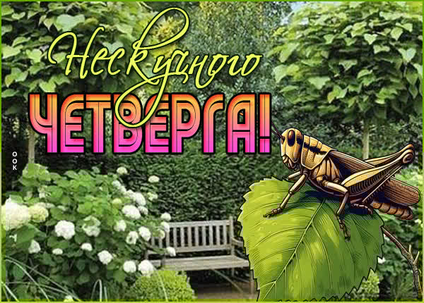 Утонченная открытка нескучного четверга