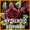 Динамичная открытка чудесного вторника