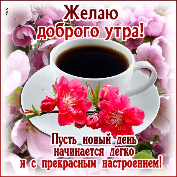 Яркая открытка пусть новый день начинается легко
