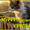 Милая картинка зумурррчательной среды