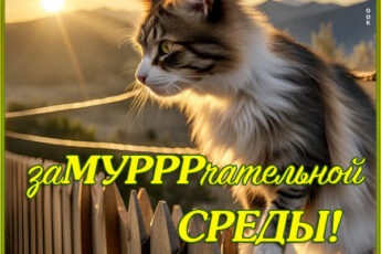 Милая картинка зумурррчательной среды