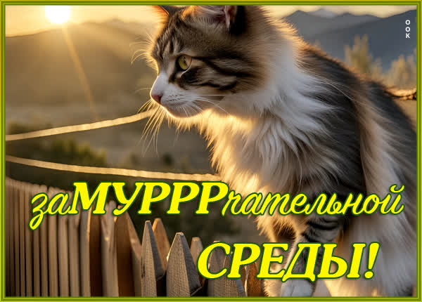 Милая картинка зумурррчательной среды
