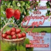 Оригинальная картинка я желаю тебе хорошего дня