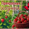 Сказочная открытка прекрасных выходных