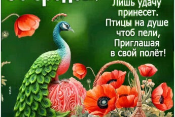 Теплая картинка со средой