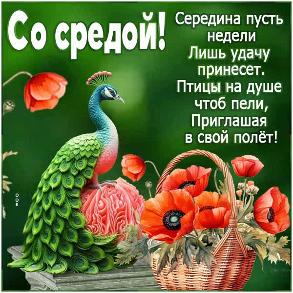 Теплая картинка  со средой