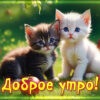 Уникальная открытка доброе утро