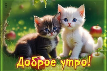 Уникальная открытка доброе утро