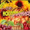 Вдохновляющая картинка для настроения