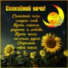 Замысловатая открытка сладких снов