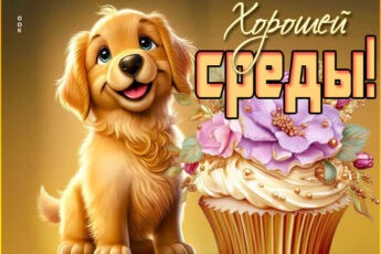 Жизнеутверждающая картинка хорошей среды