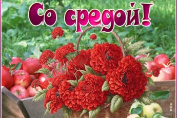 Атмосферная картинка со средой