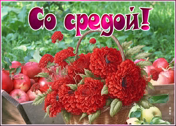 Атмосферная картинка со средой