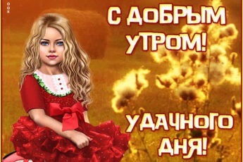 Добрая картинка удачного дня