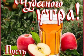 Душевная картинка пусть все складывается благоприятно
