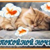 Элегантная картинка спокойной ночи
