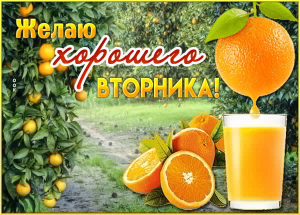 Игривная открытка желаю хорошего вторника