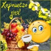 Изысканная картинка хорошего дня