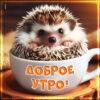 Солнечная открытка доброе утро