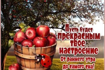 Теплая открытка пусть будет прекрасным твое настроение