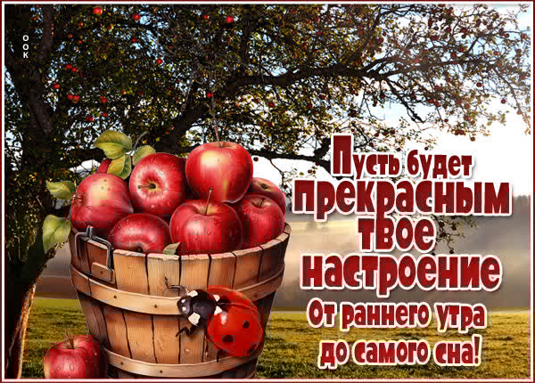Теплая открытка пусть будет прекрасным твое настроение