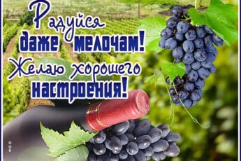 Веселая открытка желаю хорошего настроения