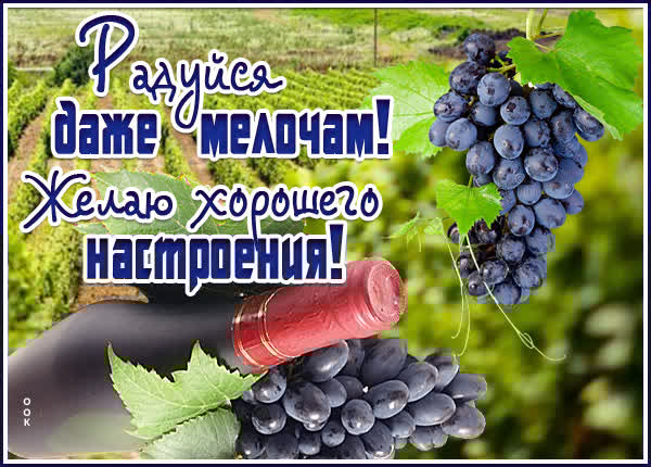 Веселая открытка желаю хорошего настроения
