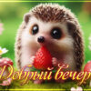 Задорная открытка добрый вечер