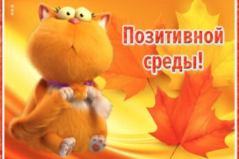 Бодрая картинка позитивной среды