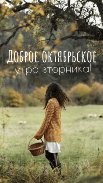 Картинки - Доброе октябрьское утро вторника (37 ФОТО)