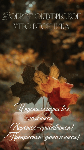 Картинки - Доброе октябрьское утро вторника (37 ФОТО)
