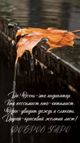 Картинки - Доброе октябрьское утро вторника (37 ФОТО)