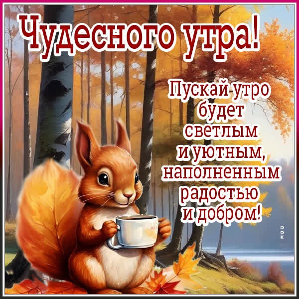 Нежная картинка чудесного утра