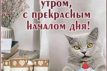 Простая картинка с добрым утром