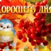 Сентиментальная картинка хорошего дня