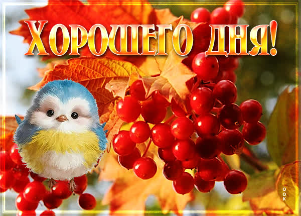 Сентиментальная картинка хорошего дня