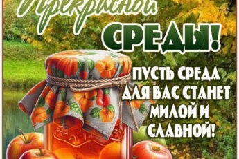 Солнечная картинка прекрасной среды