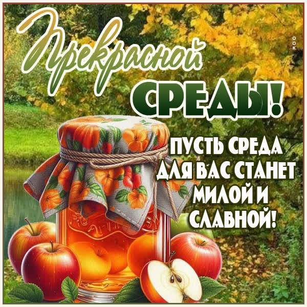 Солнечная картинка прекрасной среды