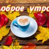 Трогательная картинка доброе утро