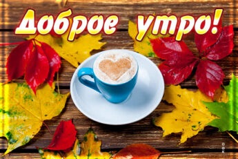 Трогательная картинка доброе утро